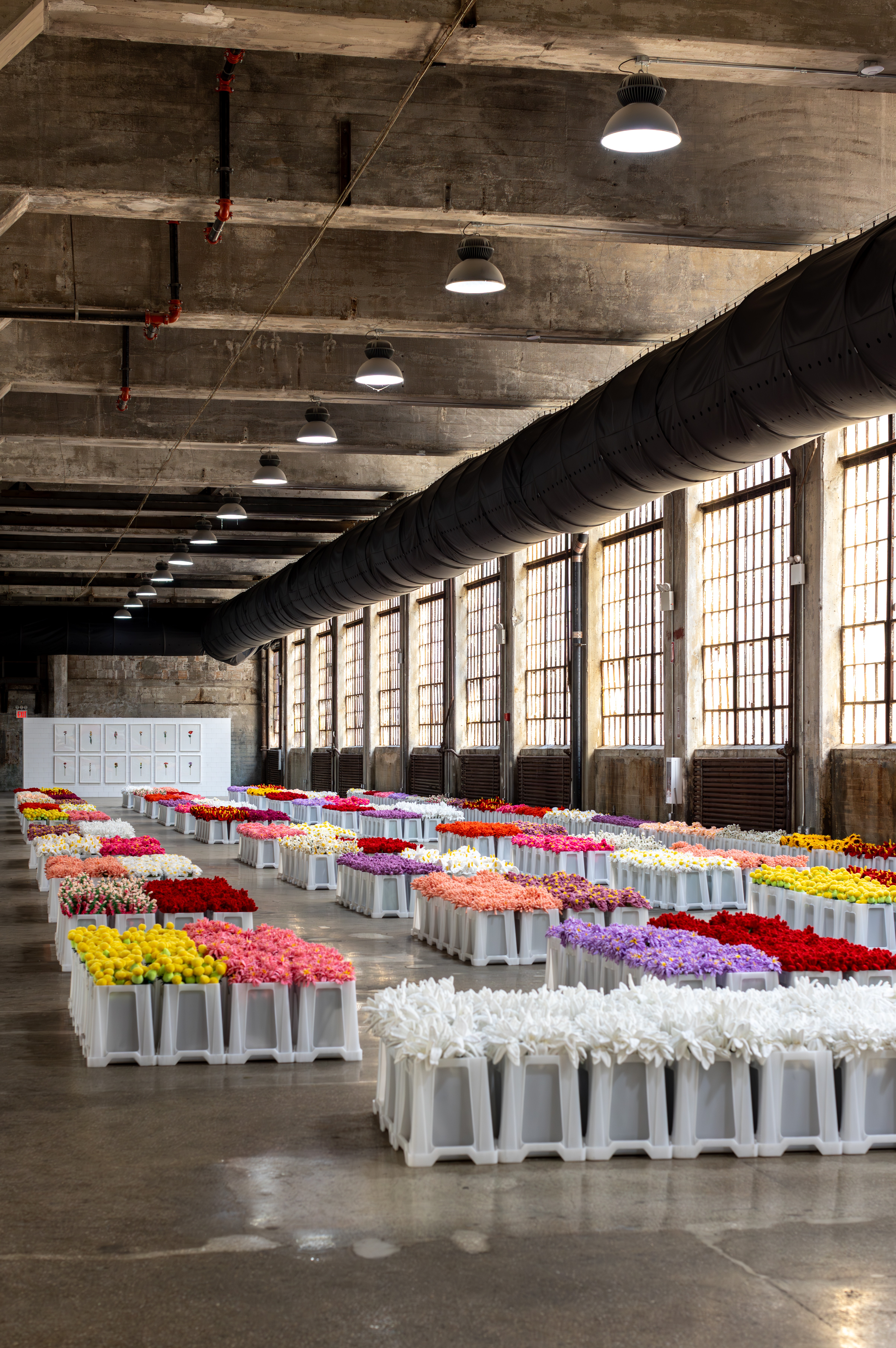 Cj Hendry’s Flower Market: Bringing Plush Blooms to Life